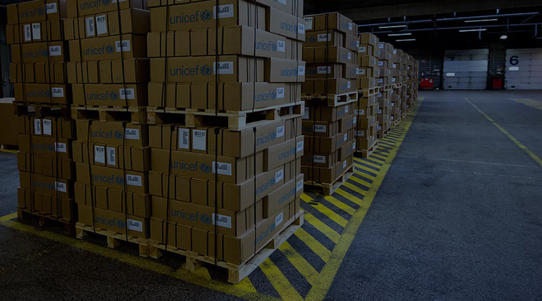 Pallets para exportación Fabricación a medida standar y personalizado